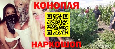 ALPHA PVP Заволжье