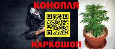 гашик Заводоуковск