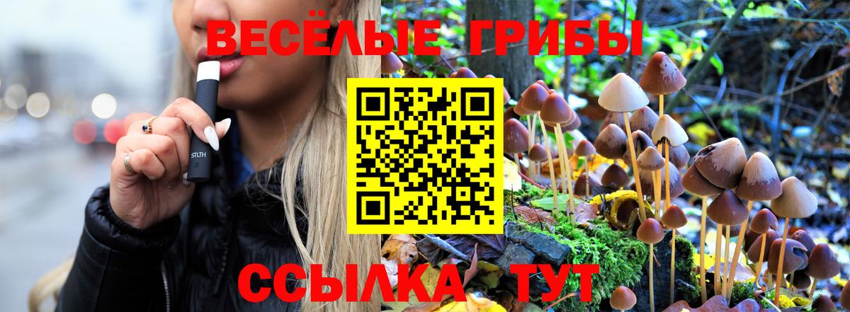 Великий Устюг  наркошоп  Вход с VPN  Псилоцибиновые грибы Cubensis  Галлюциногенные грибы ЛСД 